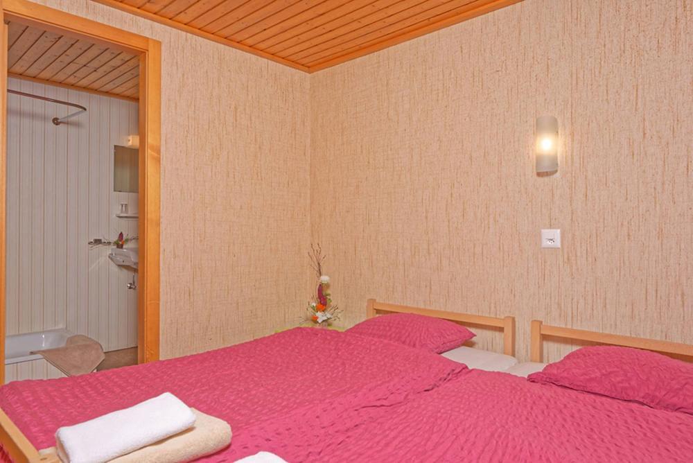 Petit Velan - Coworking & Coliving Hostel Bourg-Saint-Pierre Kültér fotó